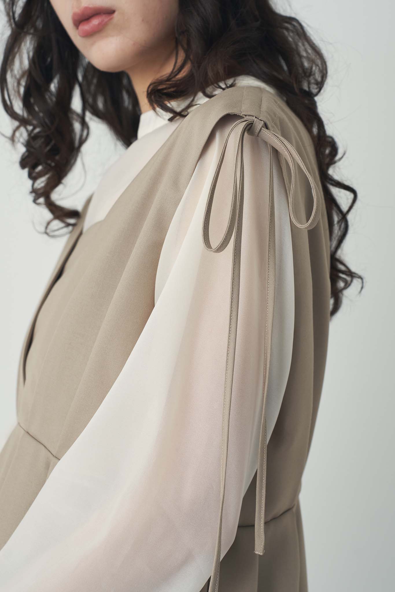 オーガンドッキングジャンスカ