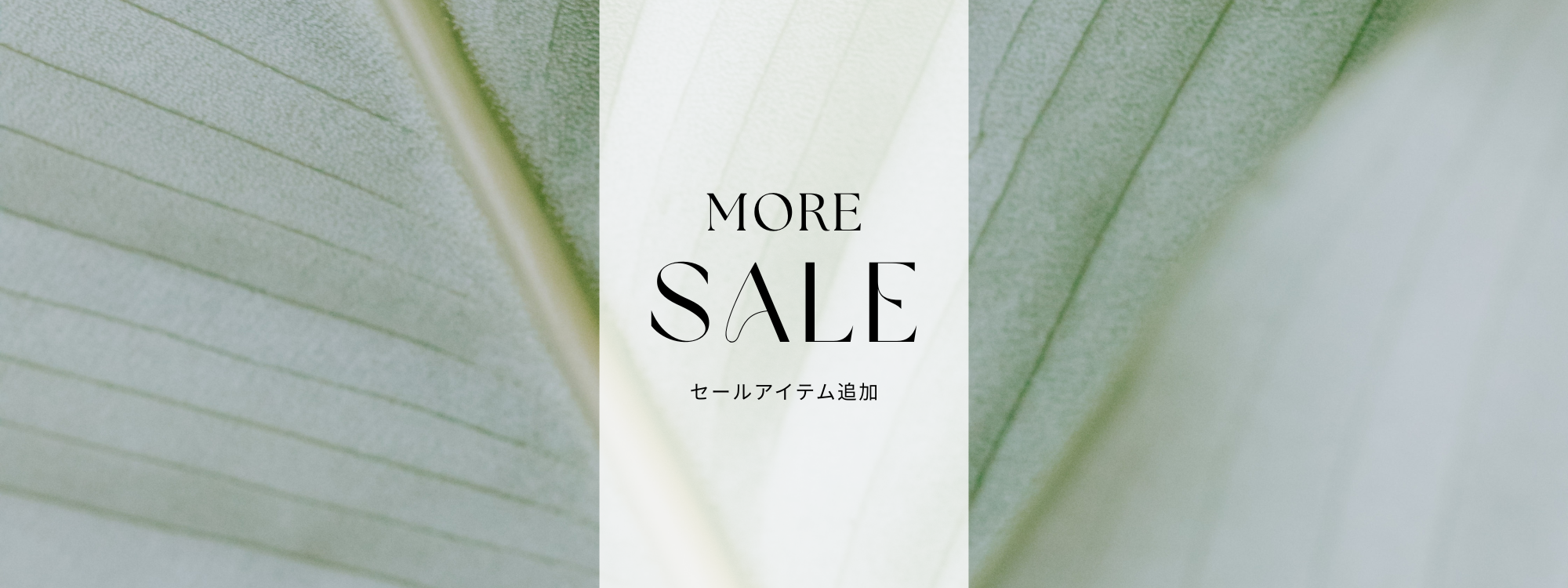 MORE SALE